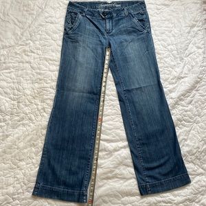 Vintage American Eagle Pant Wide Flare Leg Low Rise 12 Long Women